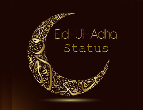 Eid ul Adha Status – Facebook and Whatsapp 2020 Status